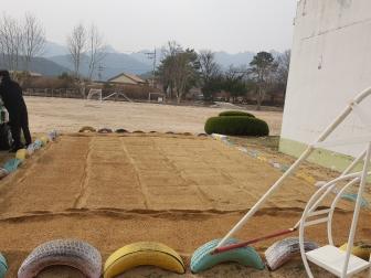 상주 분교 모래 소독